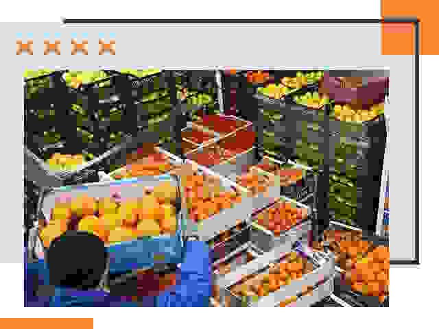 Перевозка скоропортящихся продуктов в Арзамасе